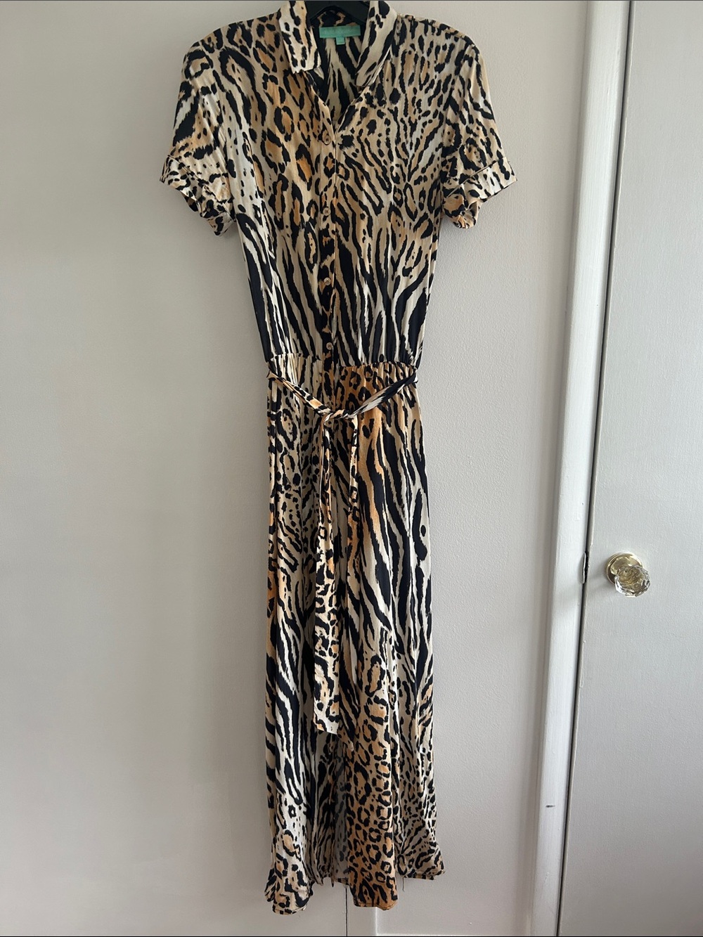Animal Print Short-Sleeve Tie-Waist Maxi Dress - Black & Tan